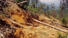 Một điểm khai thác quặng trái phép được hai phóng viên ghi lại. Ảnh: Thành Long.