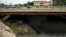 Nước sông đen kịt vì ô nhiễm.