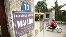 Nhiều khu vực khuôn viên Công ty Mai Lĩnh bị bỏ hoang nhưng vẫn được tính vào giá trị của AVG khi bán cho MobiFone. (Ảnh: Nam Trần)