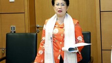 Kiến nghị xử lý Phó Bí thư Đồng Nai Phan Thị Mỹ Thanh