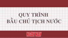 [Infographics] Quy trình bầu Chủ tịch nước như thế nào?