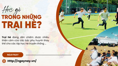 Học gì trong những trại hè?