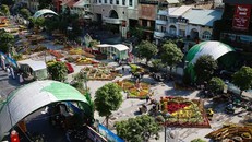 Đường hoa xuân Nguyễn Huệ năm 2016. 