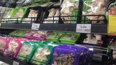 Nhiều siêu thị dừng bán nấm hương tươi để xác minh lại nguồn gốc loại nấm này. 