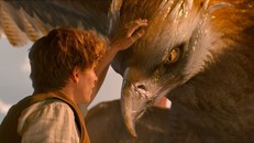 Thu 500 triệu USD sau chưa đầy hai tuần trình chiếu, Fantastic Beasts and Where to Find Them gần như chắc chắn sẽ có tên trong top 10 phim ăn khách nhất năm 2016. Ảnh: Warner Bros.