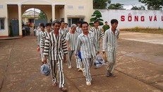 Vì sao Bùi Tiến Dũng không được đặc xá?