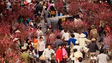 Xuân tới có khác xuân này?