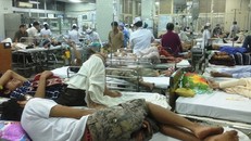 Bệnh nhân cấp cứu tại BV Chợ Rẫy TP.HCM. 