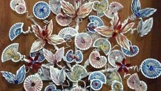 Bonsai tiền thật có giá từ 400.000 đồng đến 3 triệu đồng/cây.