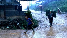 Người dân xã Nậm Càn đi hái lá dong rừng về bán cho thương lái. 