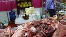 Thịt heo rừng là lựa chọn của nhiều gia đình dịp Tết này