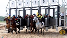 Theo Nghị định mới ban hành của Chính phủ, số tiền đặt cược các trò chơi đua ngựa, đua chó, bóng đá quốc tế… tối thiểu là 10.000 đồng, tối đa là 1 triệu đồng một lần. 