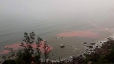 Dải nước màu đỏ xuất hiện gần bờ biển ở chân núi bắc Hải Vân. 