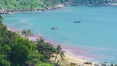 Bức ảnh được đưa lên Facebook cho rằng dải nước màu đỏ xuất hiện ở Bãi Nam (Sơn Trà, Đà Nẵng). Ảnh: Facebook Quản lý đô thị Đà Nẵng.