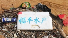 Dầu vón cục và rác thải có chữ Trung Quốc dạt bờ biển xã Tam Quang, huyện Núi Thành (Quảng Nam). 