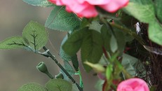 Hoa giả được trang trí khiến người xem thất vọng.