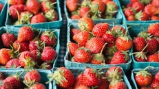 Các nhà nghiên cứu nhận thấy 70% dâu tây có dấu vết thuốc trừ sâu. Ảnh: Daily Mail.