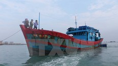 Tàu QNg 96677 TS đưa thi thể ngư dân Trần Văn Định vào bờ.