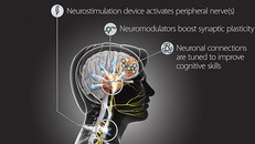 Chương trình TNT có thể giúp binh sĩ Mỹ học hỏi nhanh hơn. Ảnh: DARPA.