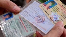 Không bắt buộc đổi bằng lái xe sang thẻ PET