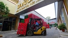 Ngày 5/3, Bộ Công Thương cho biết, sau khi chức danh Tổng giám đốc Sabeco được kiện toàn, ông Lê Hồng Xanh sẽ thôi thực hiện nhiệm vụ phụ trách Ban điều hành Sabeco và nghỉ hưu vào ngày 1/7 tới.