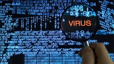 TPHCM yêu cầu khẩn cấp phòng chống mã độc WannaCry