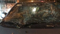 Kính chăn gió ô tô bị đè bể nát.