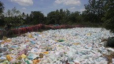 Ảnh minh họa. (Nguồn: TTXVN)