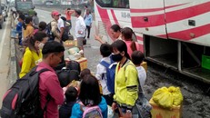 Nhiều trẻ khóc thét khi 4 ôtô va chạm trên quốc lộ 1