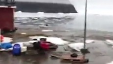 Sóng thần đẩy hàng 'núi' băng ập vào Greenland