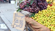 Mận Trung Quốc gắn mác mận Việt Nam bán nhiều trên thị trường hiện nay.