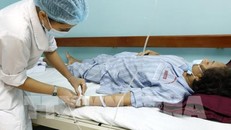 Từ tháng 1 đến 22/6/2017, Bệnh viện Bệnh Nhiệt đới T.Ư (Bộ Y tế) tiếp nhận cấp cứu, điều trị 453 ca SXH. 