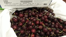 Người dùng có thể quét mã vạch trên bao bì sản phẩm để tìm hiểu nguồn gốc của cherry. 