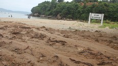 Khối lượng bùn đấy lớn đổ ra biển, khiến khu vực này bị ô nhiễm.