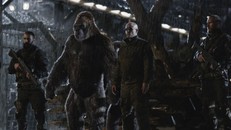 Caesar liên tục bị loài người truy sát.