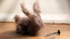 Các nhà khoa học tìm ra mối liên hệ giữa bụi và béo phì. Ảnh: Getty Images/Istock photo.