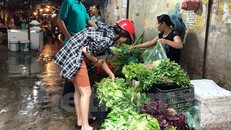 Người tiêu dùng chọn mua rau tại chợ Đại Từ. 