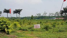 Sau hơn 2 tháng thanh tra, TP Hà Nội đã công bố kết luận việc quản lý sử dụng đất khu sân bay Miếu Môn thuộc địa giới hành chính xã Đồng Tâm, Mỹ Đức. 