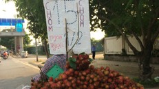 Bảng giá niêm yết theo 1/2 kg nhằm "đánh lừa" người mua của dân buôn hoa quả vỉa hè. 