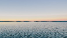 Ảnh minh họa: Internet