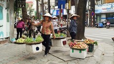 Việc buôn bán trái cây trên vỉa hè, lòng đường của Hà Nội tới đây sẽ bị xoá xổ