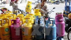 Ảnh minh họa. (Nguồn: TTXVN)