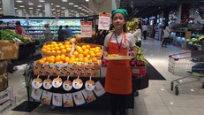 Úc vốn nổi tiếng trên toàn thế giới về sản xuất trái cây, quả hạch và rau quả xanh, sạch và an toàn với chất lượng rất cao.