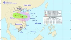 Tin bão: Bão số 4 đổ bộ vào Hà Tĩnh - Quảng Trị tối nay