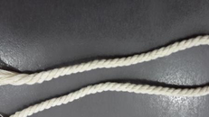 Cha nuôi siết cổ con trai rồi uống thuốc sâu tự sát