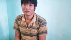 Lừa người quen vào núi mua chồn hương để cướp tiền và xe