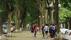 Thời tiết ngày 1/10: Bắc Bộ nhiều mây, sáng sớm có mưa