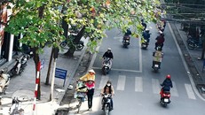 Thời tiết ngày 14/10: Ngập lụt giảm dần, Bắc Bộ hửng nắng