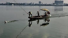 Hình ảnh ghi lại vụ việc. Ảnh: Hòa Vương