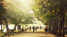 Bắc Bộ trời rét vào sáng sớm, trưa chiều hửng nắng, Nam Bộ có mưa rào và dông